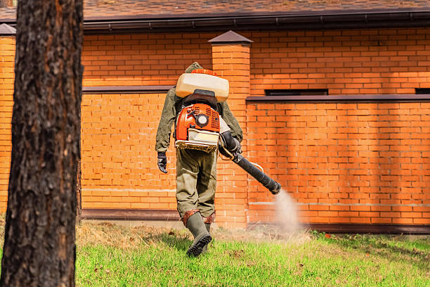 Bed Bug Clearance Verification and Documentation in Grand Marais